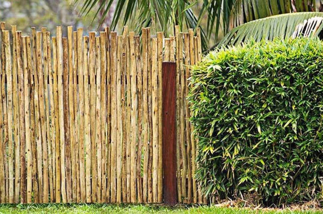 wooden latte fencing