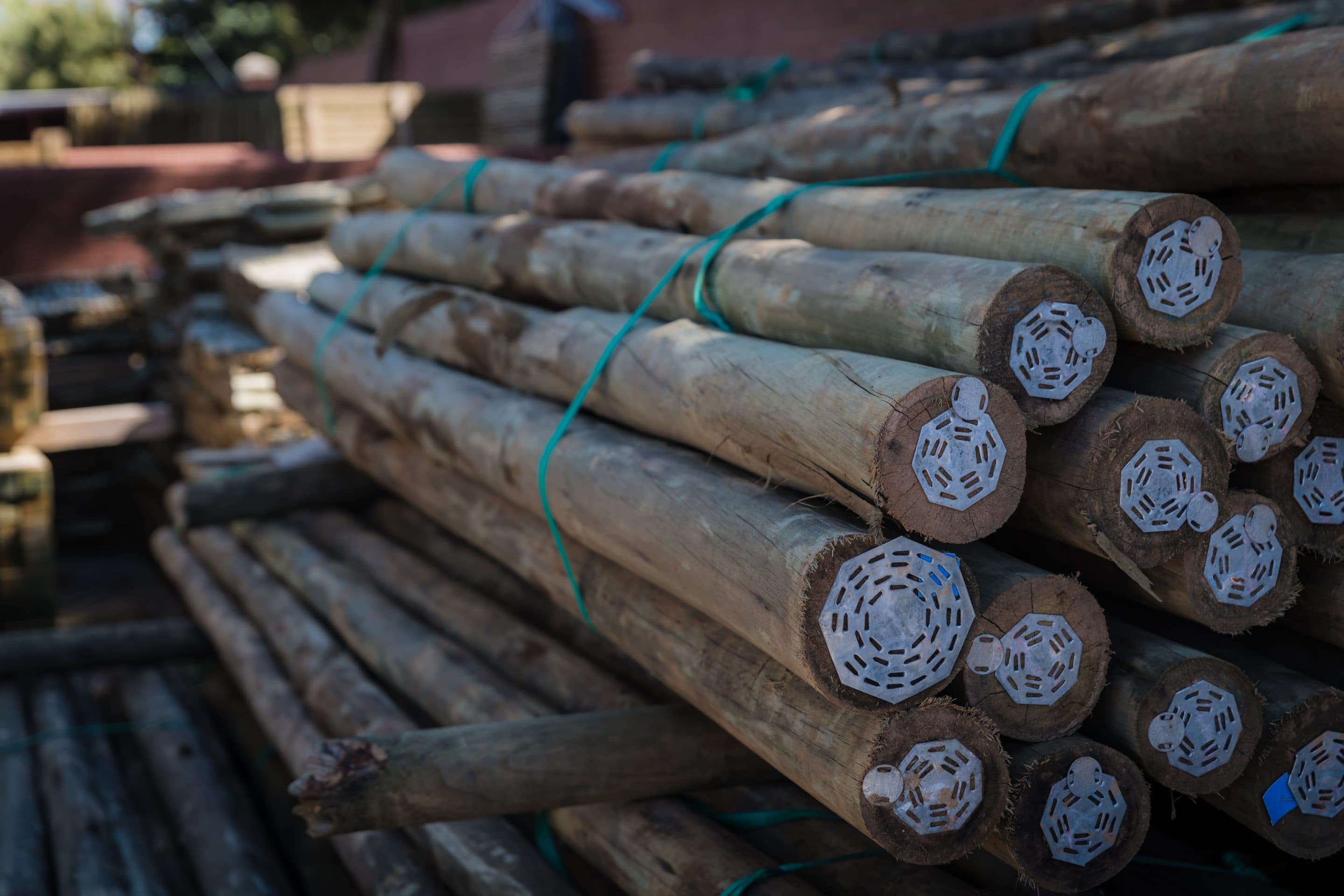 Eucalyptus / Gum Treated Poles