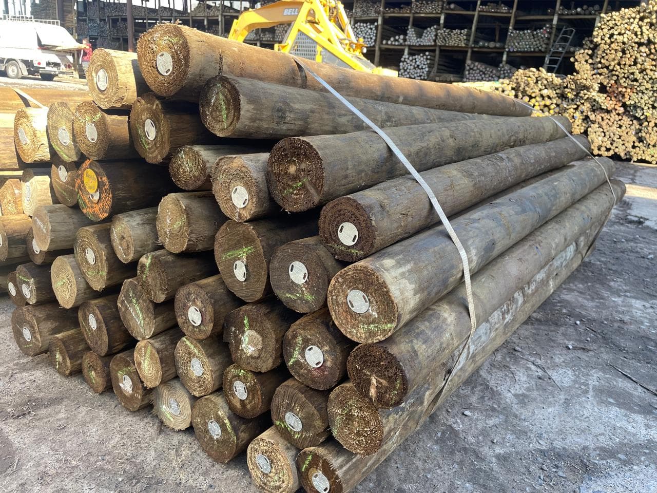 Tapered Pine Poles