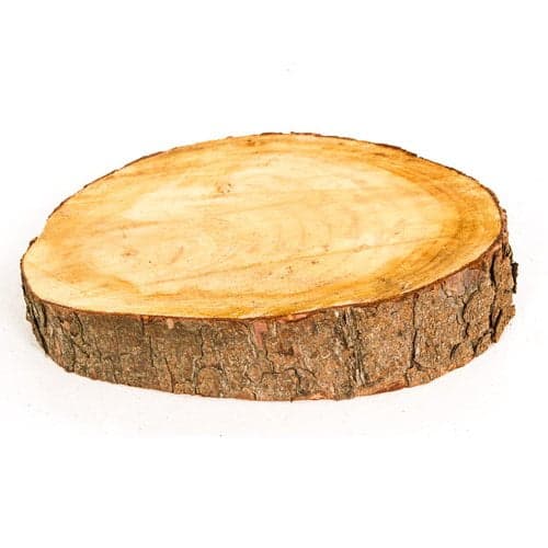 Tree Rings