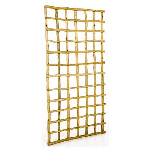 Custom Latte Trellises