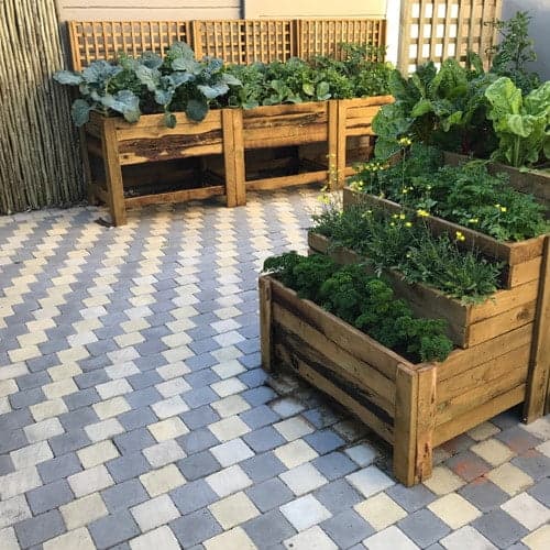 Tan-E Standing Planter with Trellis thumbnail 2