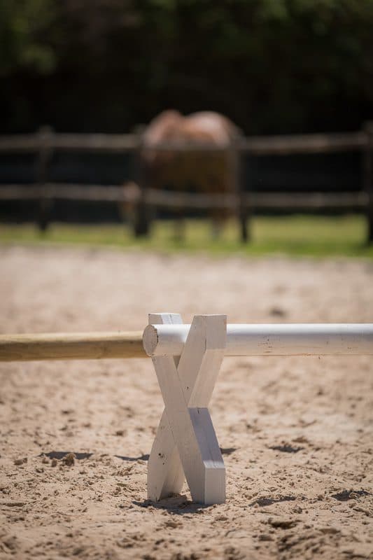 Cavaletti Pair Incl Pole thumbnail 9
