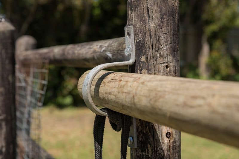 Equestrian Hardware & Extras thumbnail 12