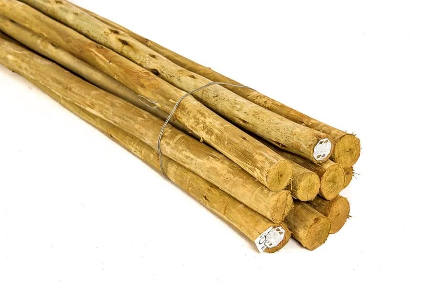Eucalyptus Droppers