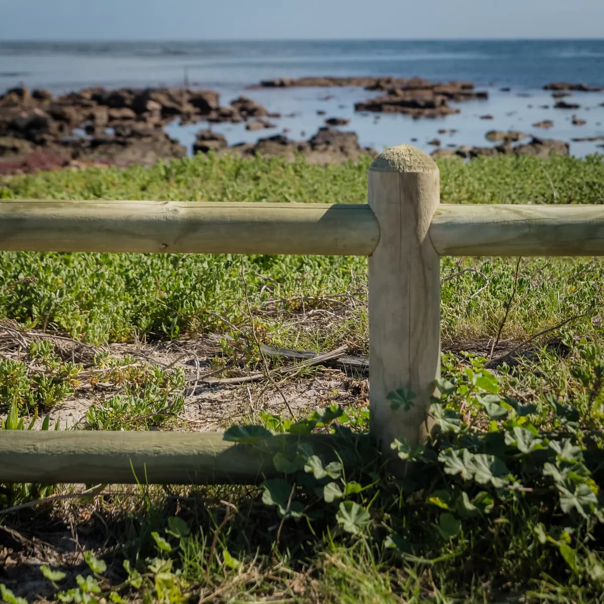Ranch Style Post & Rail Poles