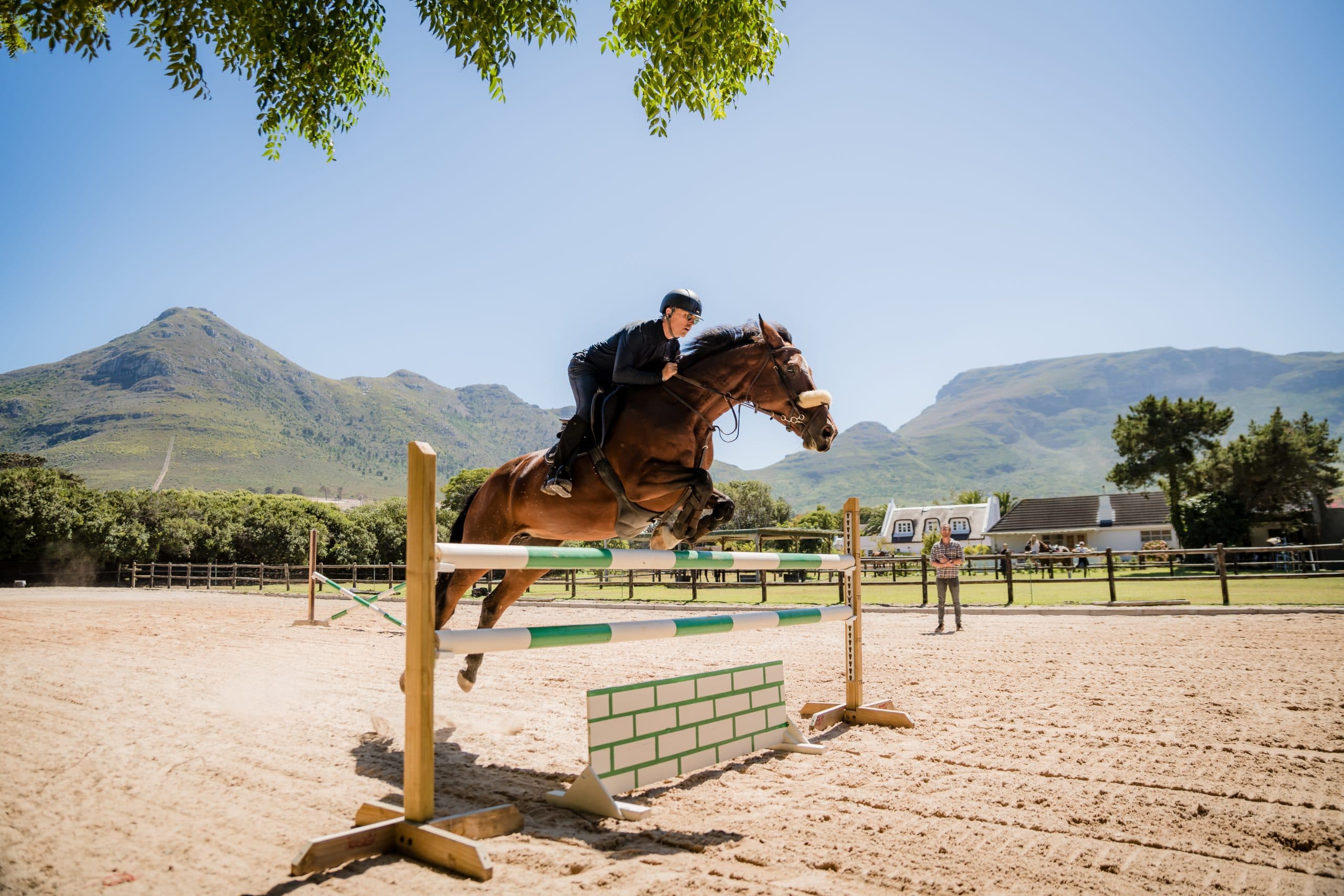 Basic Jump Upright 1.2H