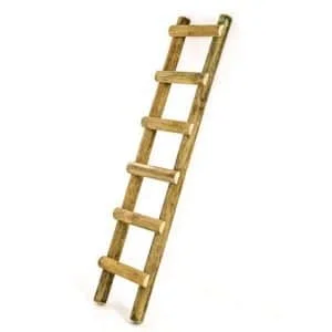 Jungle Gym Ladder